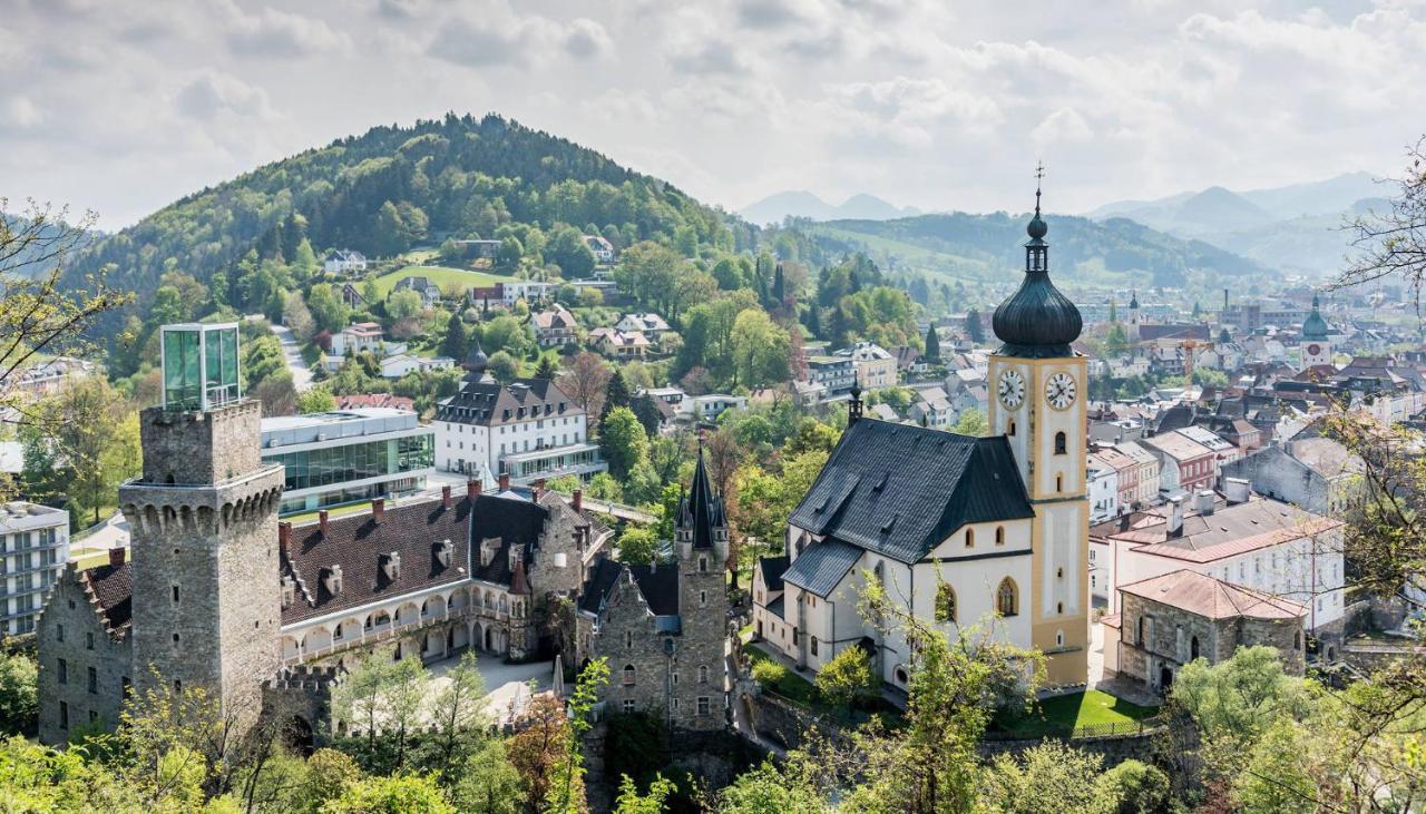 Das Schloss An Der Eisenstrasse Вайдхофен-ан-дер-Ибс Экстерьер фото