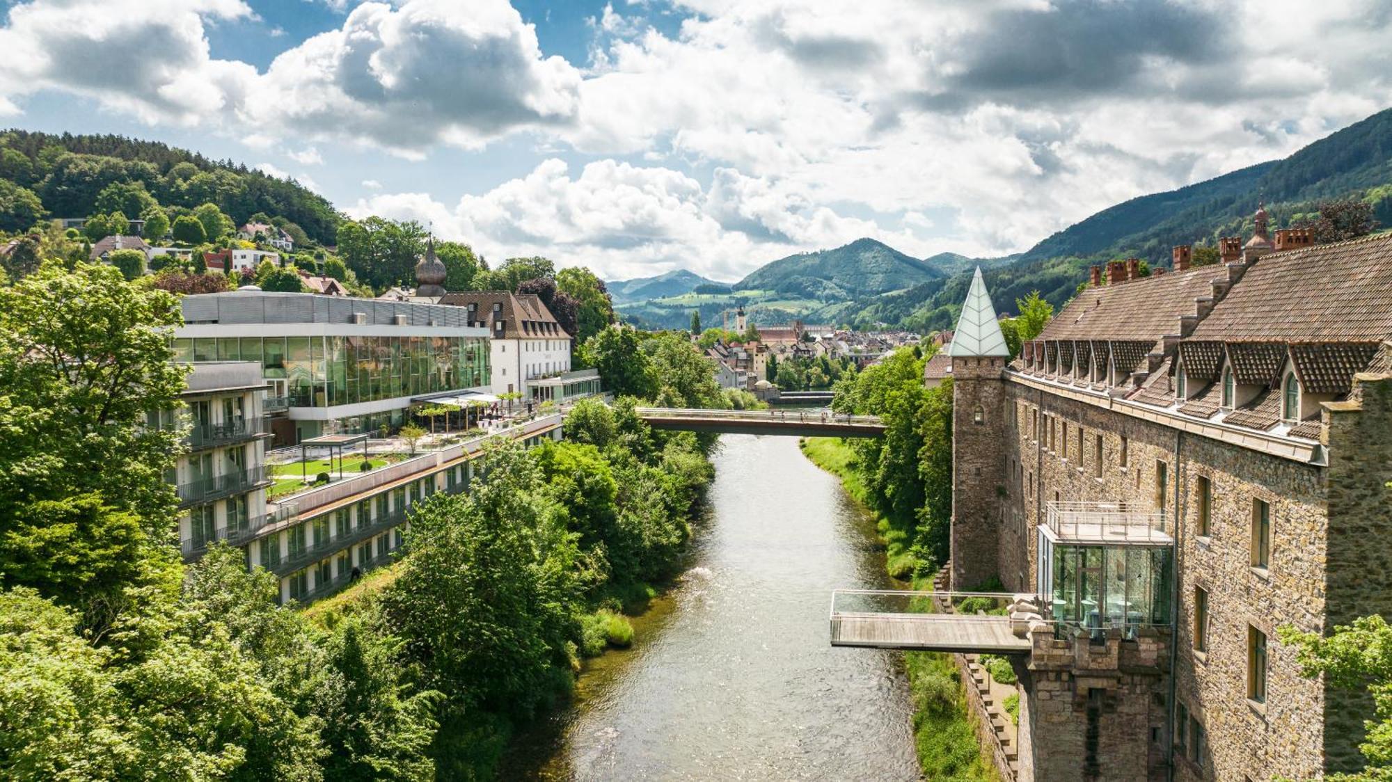 Das Schloss An Der Eisenstrasse Вайдхофен-ан-дер-Ибс Экстерьер фото